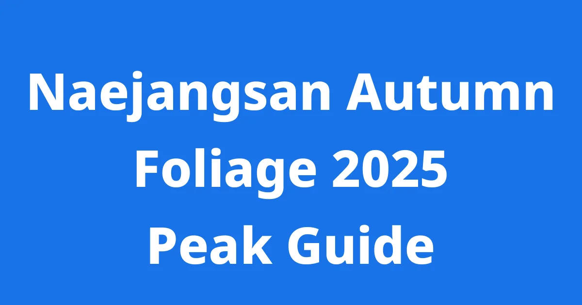 Naejangsan Autumn Foliage Peak 2025 Guide